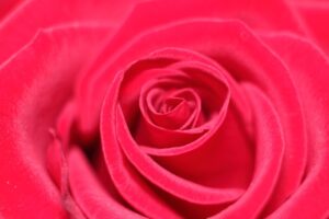 SNS詐欺に騙されないためにできることは何ですか？