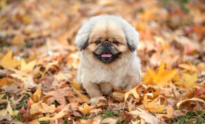 詐欺防止のために家族ができることとは？