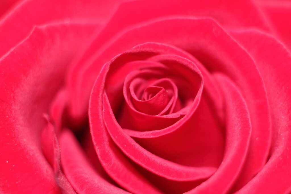 SNS詐欺の返金交渉方法はどのように行うべきか？