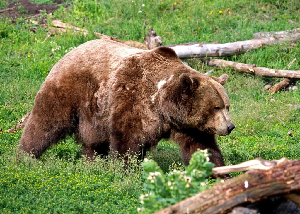 出会い系詐欺を見分ける方法はどうする？