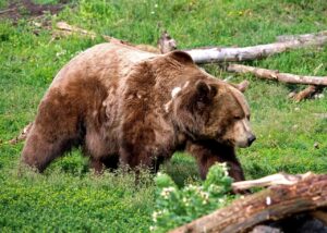 出会い系詐欺を見分ける方法はどうする？