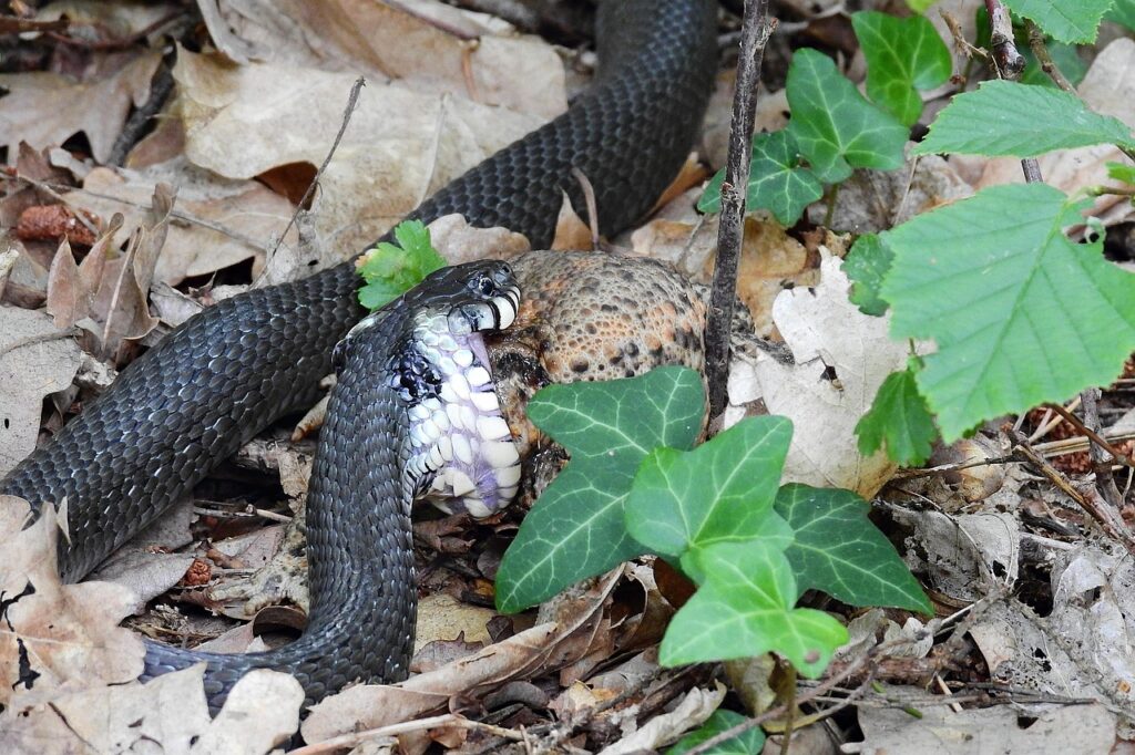 被害届はどう出す？