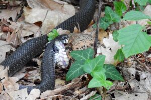 被害届はどう出す？