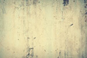 高齢者がSNSでの見守り契約を通じて詐欺を予防する方法は？